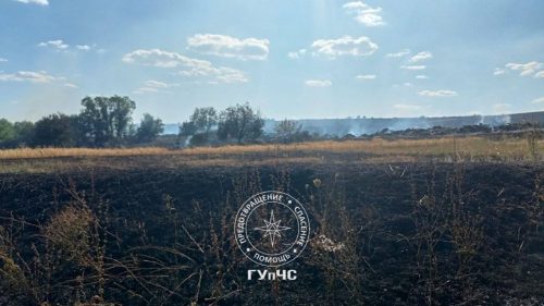Incendiu de proporții în raionul Rîbnița: 25 de hectare de miriște, cuprinse de flăcări