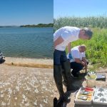 Pieirea peștilor din lacul Dănceni, investigată: Inspectorii de mediu au prelevat probe de apă