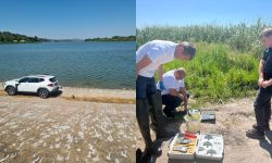 Pieirea peștilor din lacul Dănceni, investigată: Inspectorii de mediu au prelevat probe de apă