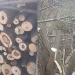 Prejudicii de câteva mii de lei, cauzate mediului, la Florești. Un bărbat a fost amendat
