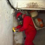 Peste 2 200 de subsoluri din Chișinău, dezinfectate împotriva insectelor și rozătoarelor