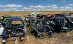 VIDEO 14 mașini, ridicate de vameși la Florești. Autoturismele se aflau ilegal în Moldova