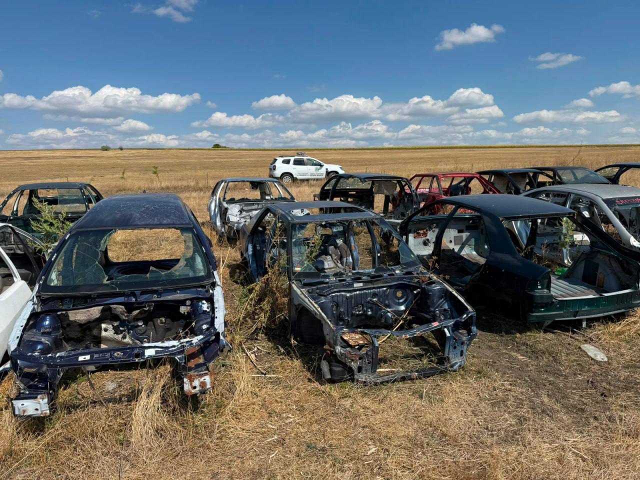 VIDEO 14 mașini, ridicate de vameși la Florești. Autoturismele se aflau ilegal în Moldova