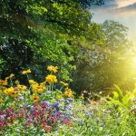 Maxime de până la 31 de grade în Moldova: Ce temperaturi sunt prognozate pentru sâmbătă, 15 august