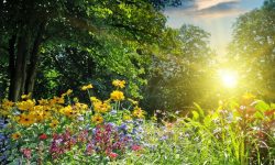 Maxime de până la 31 de grade în Moldova: Ce temperaturi sunt prognozate pentru sâmbătă, 15 august