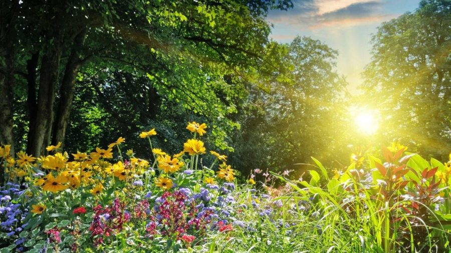 Maxime de până la 31 de grade în Moldova: Ce temperaturi sunt prognozate pentru sâmbătă, 15 august