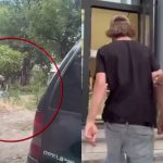 VIDEO Curier de droguri, reținut în flagrant. Adolescentul este cercetat penal