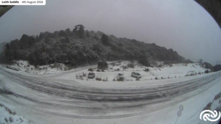 Val de frig polar aduce ninsoare istorică! Capitala care a fost acoperită de zăpadă după 15 ani