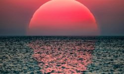Oceanele lumii tocmai au atins cea mai ridicată temperatură înregistrată vreodată, pe fondul intensificării El Niño