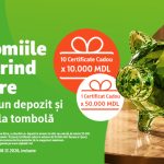La OTP Bank, economiile tale prind valoare