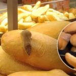 FOTO „Dezastru”. Un șoarece, surprins printre pâini într-un supermarket Kaufland