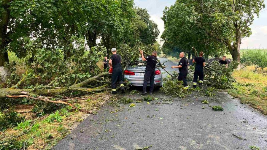 Vijeliile au făcut ravagii în nordul țării. Copaci doborâți și drumuri parțial blocate