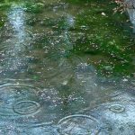 Prognoza meteo pentru 26 august: Vreme răcoroasă și ploi în toată țara