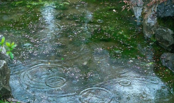 Prognoza meteo pentru 26 august: Vreme răcoroasă și ploi în toată țara