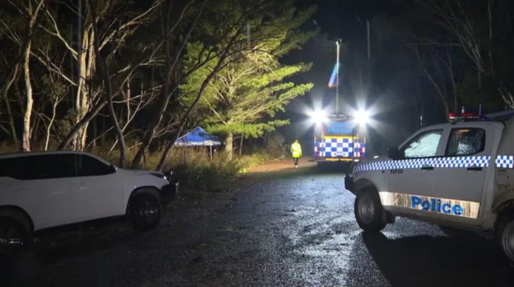 Șocant! O păpușă „foarte realistă”, cu piercing și vânătăi, a fost găsită într-o valiză abandonată