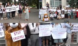 VIDEO „Stop cruzimii”. Voluntarii și activiștii au cerut măsuri urgente împotriva abuzurilor asupra animalelor