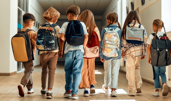 Reforma „Restart în educație”, amânată pentru Chișinău, Bălți și Găgăuzia: Ministrul Educației explică motivele