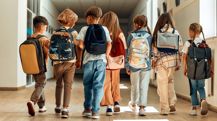 Reforma „Restart în educație”, amânată pentru Chișinău, Bălți și Găgăuzia: Ministrul Educației explică motivele
