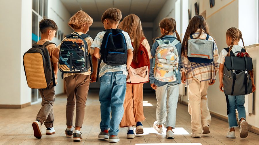 Reforma „Restart în educație”, amânată pentru Chișinău, Bălți și Găgăuzia: Ministrul Educației explică motivele