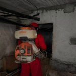 Peste 400 de blocuri din Chișinău au fost supuse lucrărilor de deratizare și dezinsecție