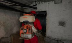 Peste 400 de blocuri din Chișinău au fost supuse lucrărilor de deratizare și dezinsecție