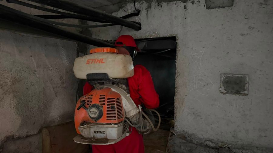 Peste 400 de blocuri din Chișinău au fost supuse lucrărilor de deratizare și dezinsecție