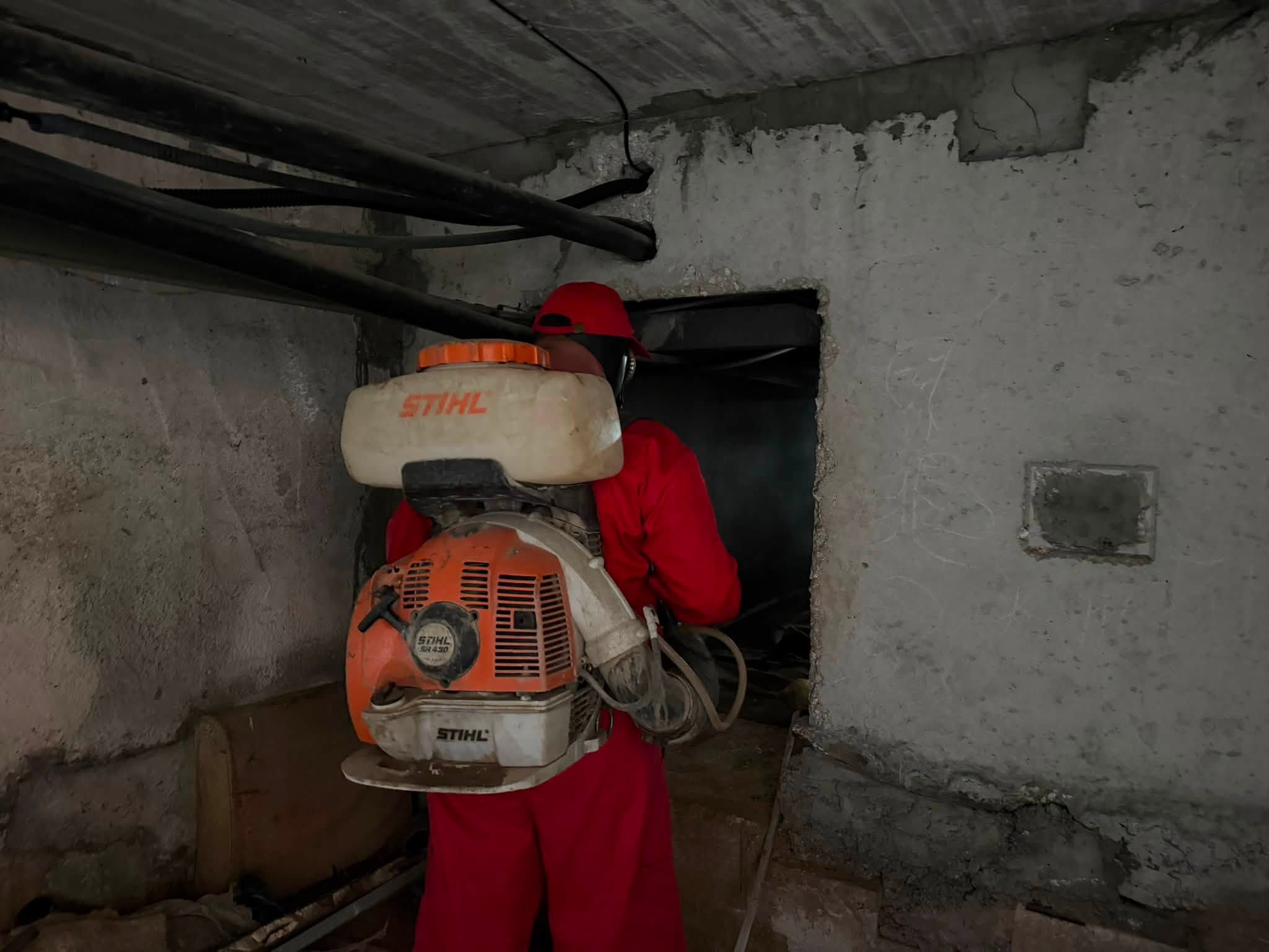 Peste 400 de blocuri din Chișinău au fost supuse lucrărilor de deratizare și dezinsecție