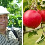 Cum se pregătesc livezile pentru toamnă. Un specialist explică de ce irigarea și tratamentele sunt esențiale