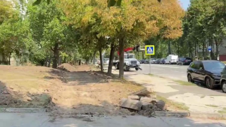 Lucrările de pe strada Ion Creangă continuă. Primăria Chișinău explică de ce sunt tăiați unii arbori