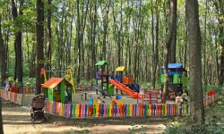 FOTO Un nou teren de joacă, amenajat în pădurea-parc „Butoiaș” din sectorul Buiucani