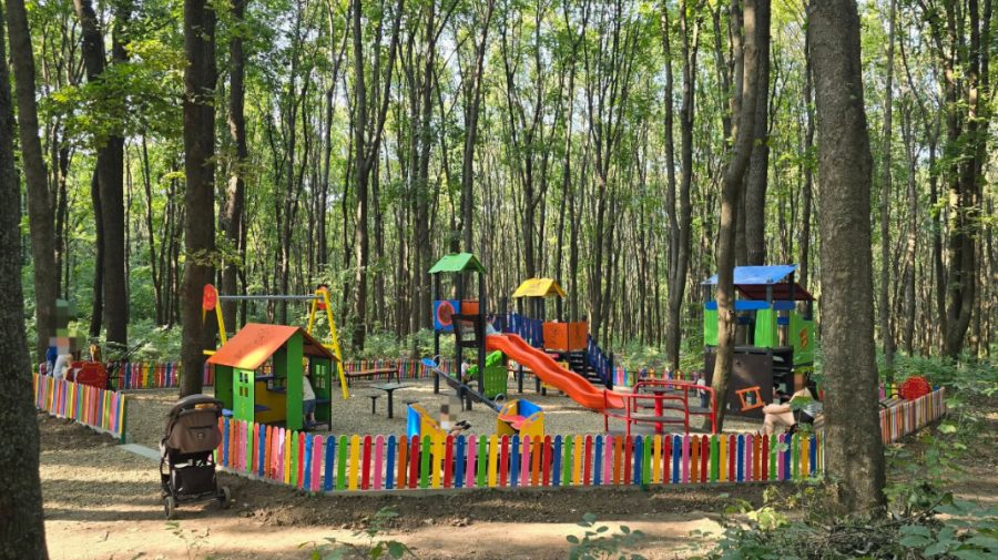 FOTO Un nou teren de joacă, amenajat în pădurea-parc „Butoiaș” din sectorul Buiucani