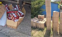 VIDEO Captură de proporții în nordul țării: 1,9 milioane de țigarete, ridicate de oamenii legii