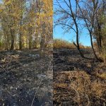 Incendiu de vegetație într-o localitate din Sîngerei: O femeie s-a ales cu proces-verbal