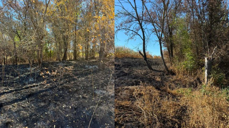 Incendiu de vegetație într-o localitate din Sîngerei: O femeie s-a ales cu proces-verbal