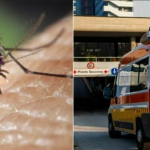 Virusul West Nile se extinde în Italia: Peste 40 de decese și sute de cazuri confirmate