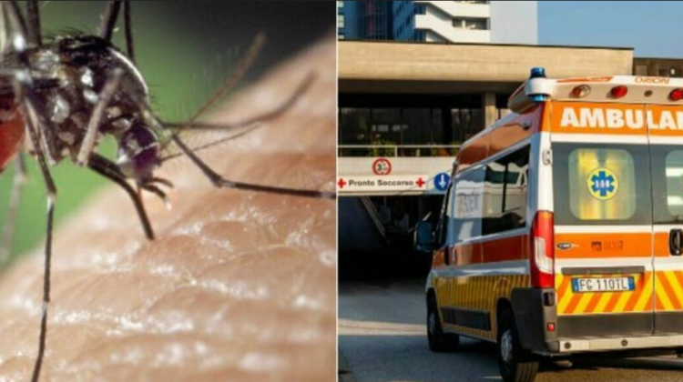 Virusul West Nile se extinde în Italia: Peste 40 de decese și sute de cazuri confirmate
