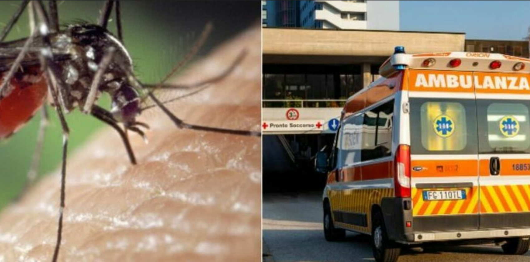 Virusul West Nile se extinde în Italia: Peste 40 de decese și sute de cazuri confirmate