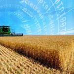 Registrul Fermierilor, lansat în Moldova: Datele agricultorilor vor fi centralizate într-un singur sistem