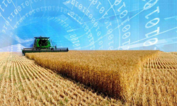 Registrul Fermierilor, lansat în Moldova: Datele agricultorilor vor fi centralizate într-un singur sistem
