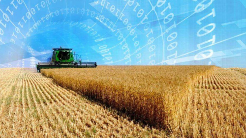 Registrul Fermierilor, lansat în Moldova: Datele agricultorilor vor fi centralizate într-un singur sistem