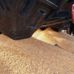 Avaria de la Zatoka poate schimba rutele cerealelor: Moldova, între oportunitatea de tranzit și riscul de blocaj