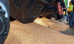 Avaria de la Zatoka poate schimba rutele cerealelor: Moldova, între oportunitatea de tranzit și riscul de blocaj