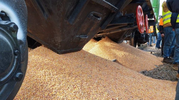 Avaria de la Zatoka poate schimba rutele cerealelor: Moldova, între oportunitatea de tranzit și riscul de blocaj