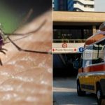 Virusul West Nile se extinde în Italia: Peste 40 de decese și sute de cazuri confirmate