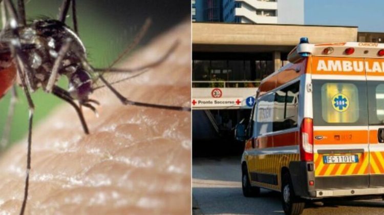 Virusul West Nile se extinde în Italia: Peste 40 de decese și sute de cazuri confirmate