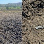 ULTIMA ORĂ! Fragmente de dronă, găsite pe terenul unde s-a auzit bubuitura de la Colonița