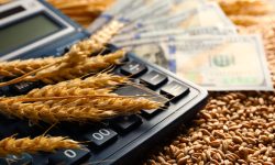 Fermierii, revoltați de majorarea TVA la 12%: „Poate accelera falimentul masiv”