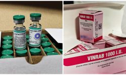 Stocuri noi de vaccinuri în Moldova: Mii de doze împotriva hepatitei B și imunoglobulină antirabică, procurate de CNAM