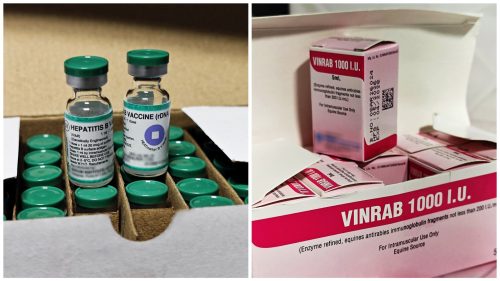 Stocuri noi de vaccinuri în Moldova: Mii de doze împotriva hepatitei B și imunoglobulină antirabică, procurate de CNAM