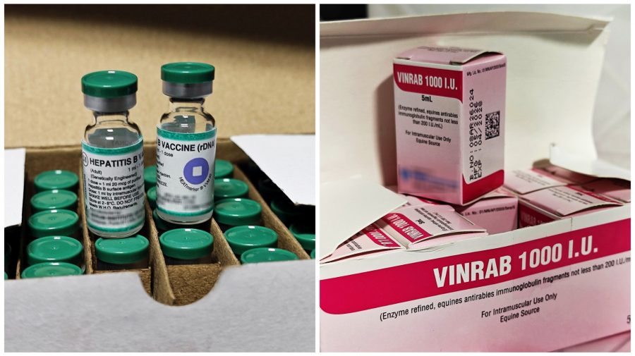 Stocuri noi de vaccinuri în Moldova: Mii de doze împotriva hepatitei B și imunoglobulină antirabică, procurate de CNAM